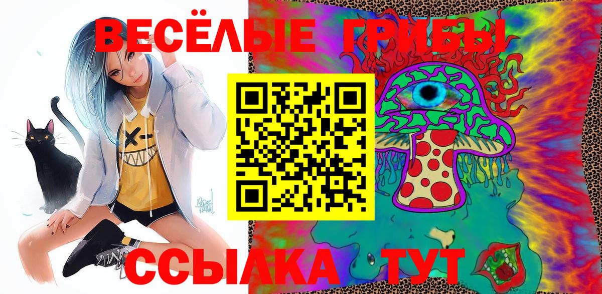 Псилоцибиновые грибы MAGIC MUSHROOMS  сколько стоит  Великие Луки  Галлюциногенные грибы GOLDEN TEACHER  Вход с VPN 