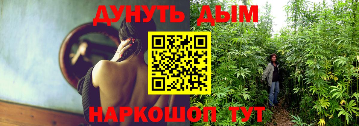 Канабис план Великие Луки